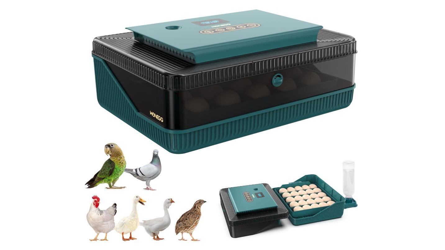 Pet Scene 25 Egg Automatic Humidity Control Candler Incubator for Poultry Hatching 