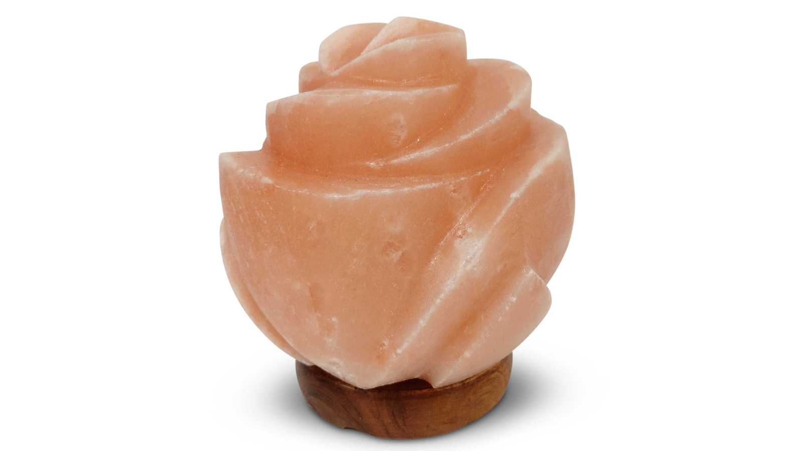 Orku 12V 12W Crystal Carved Rose Himalayan Rock Pink Salt Lamp
