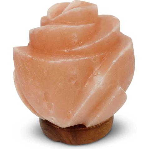 Orku 12V 12W Crystal Carved Rose Himalayan Rock Pink Salt Lamp