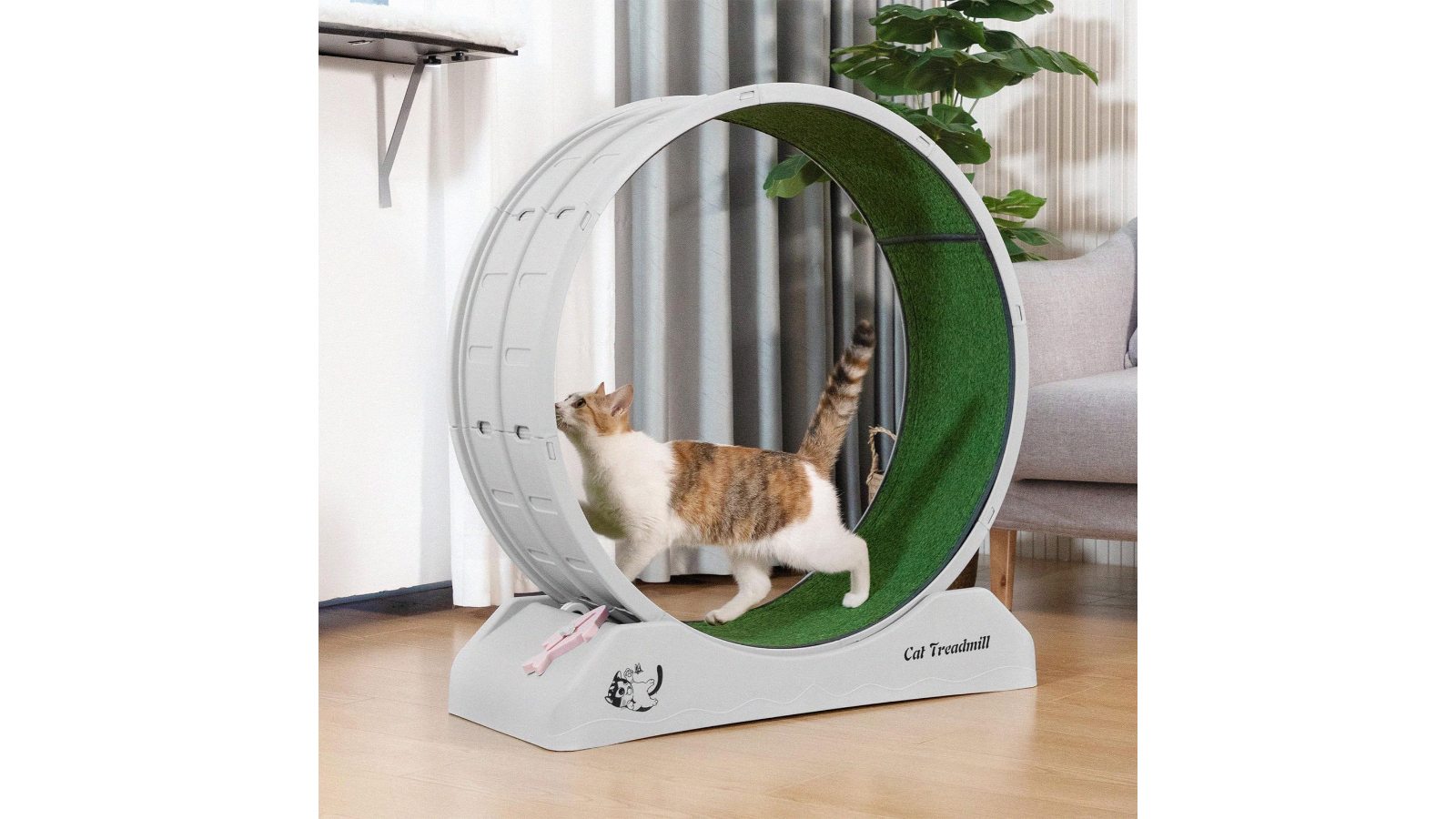 Indoor Cats Used Cat Exercise Wheel For Sale Pet Scene Cat Wheel