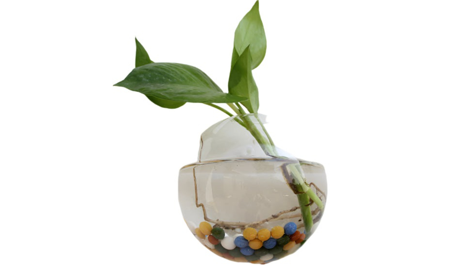 OBA Glass Terrarium Wall Hanging Flower Vase