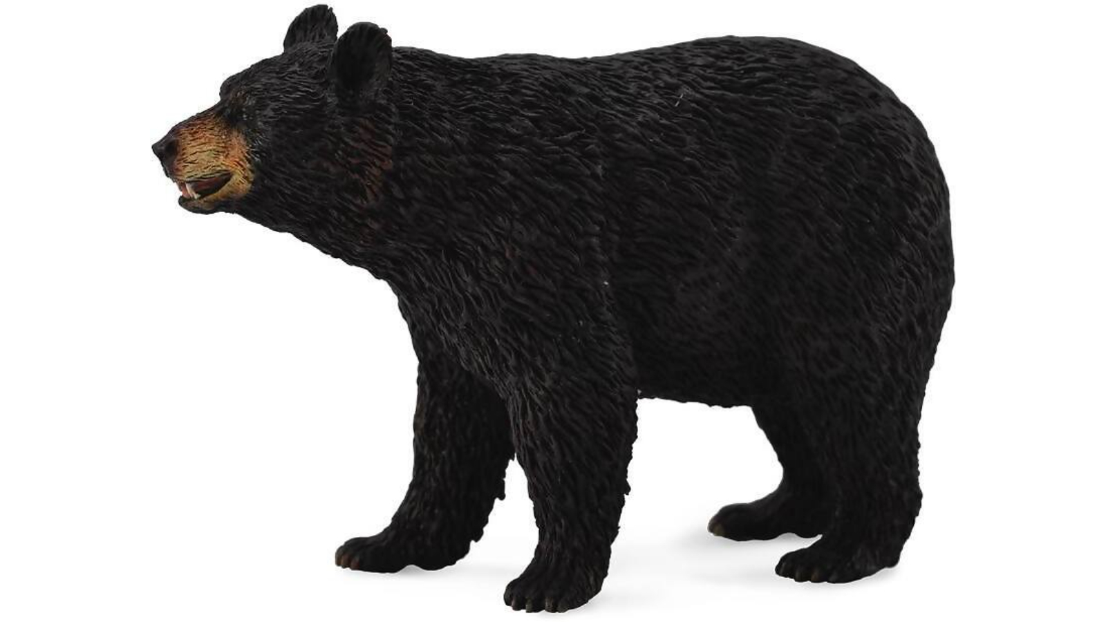CollectA American Black Bear