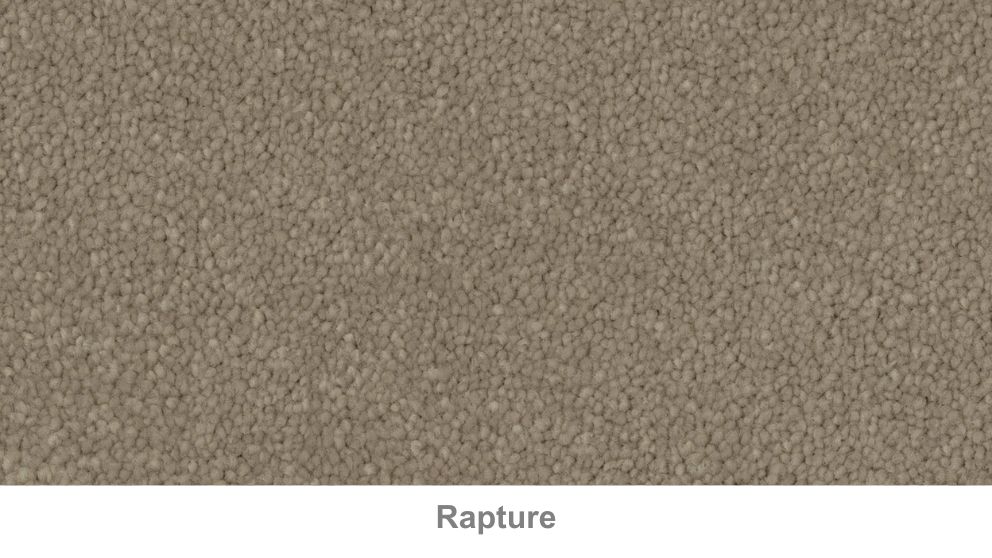 Stain Defence Lifestyle Pure Bliss Carpet Harvey Norman