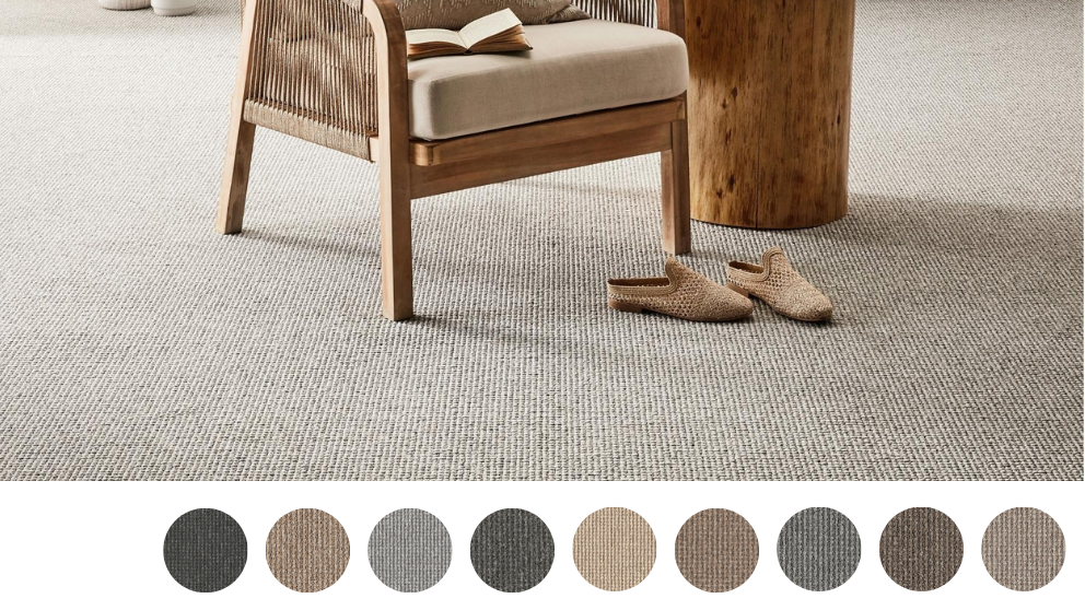 EC Carpets Avondale Point Carpet Harvey Norman