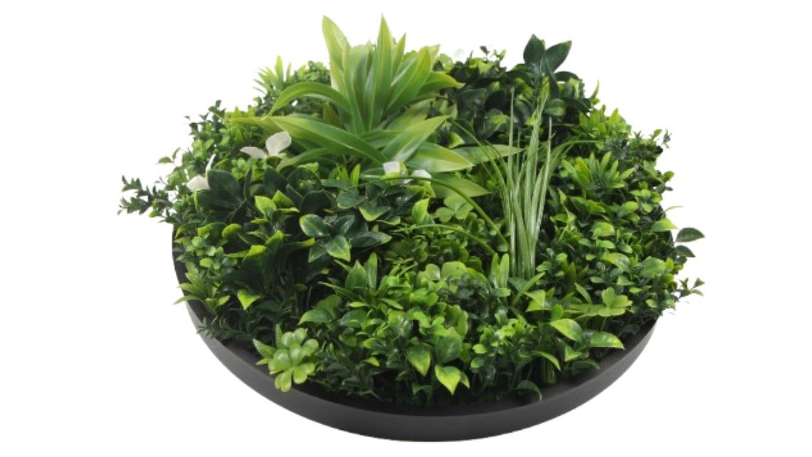 Designer Plants UV Resistant Black Frame Artificial Slimline Flowering Green Wall Disc - 75cm