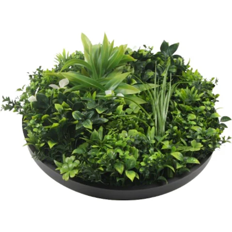 Designer Plants UV Resistant Black Frame Artificial Slimline Flowering Green Wall Disc - 75cm