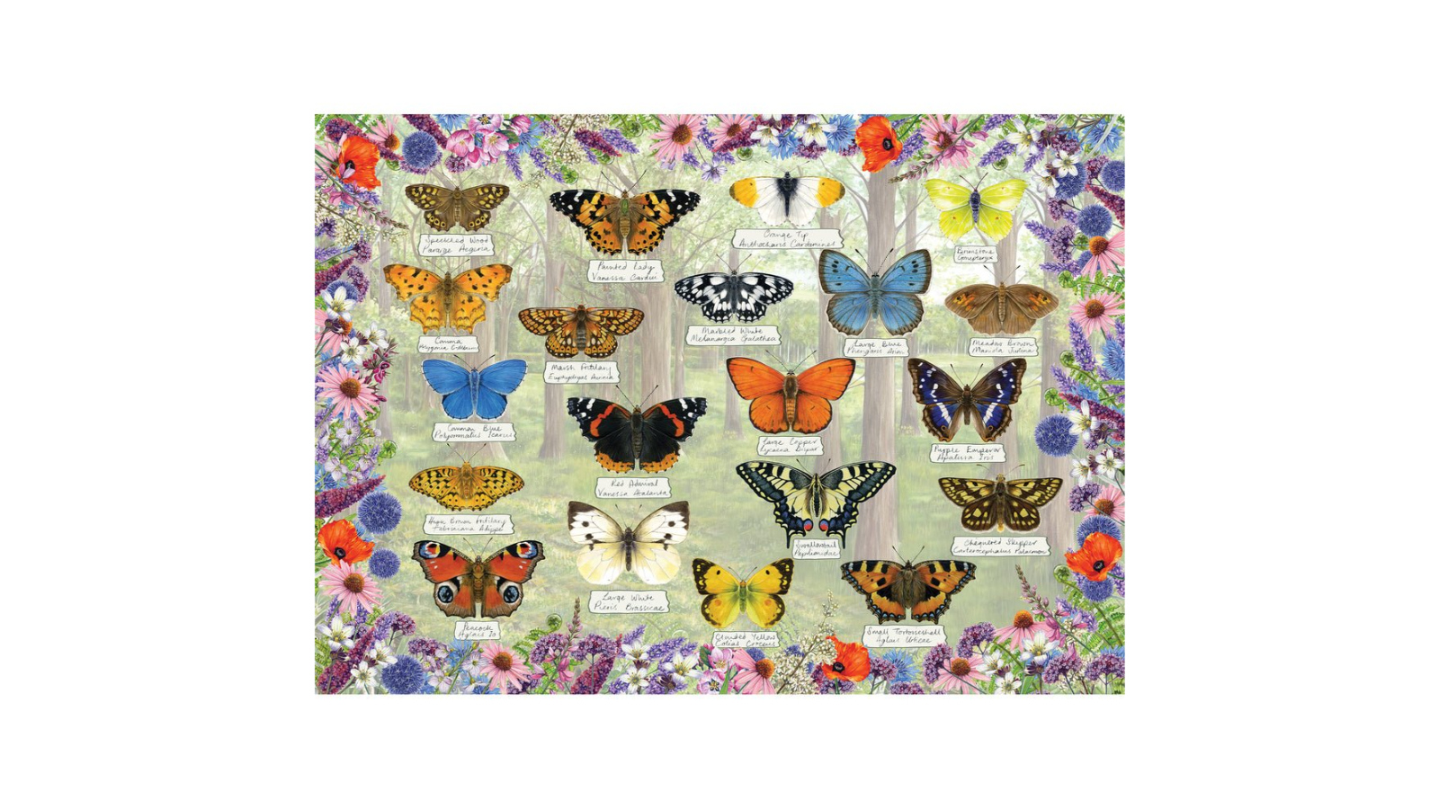 Gibsons 1000 Piece Beautiful Butterflies Jigsaw Puzzle