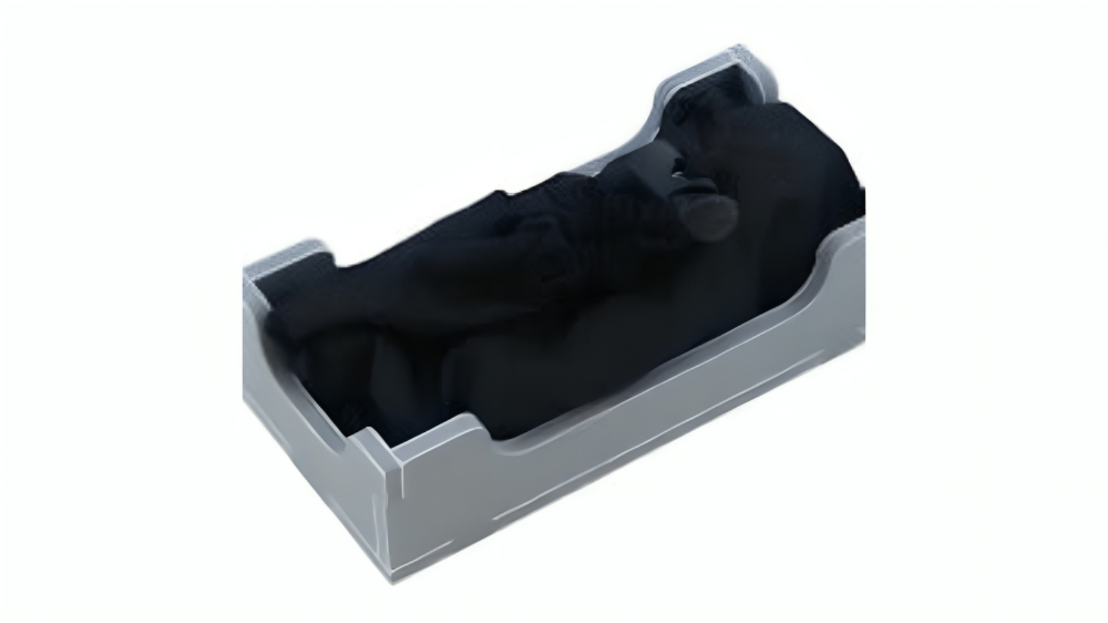 Folded Space Game Insert Dominant Species