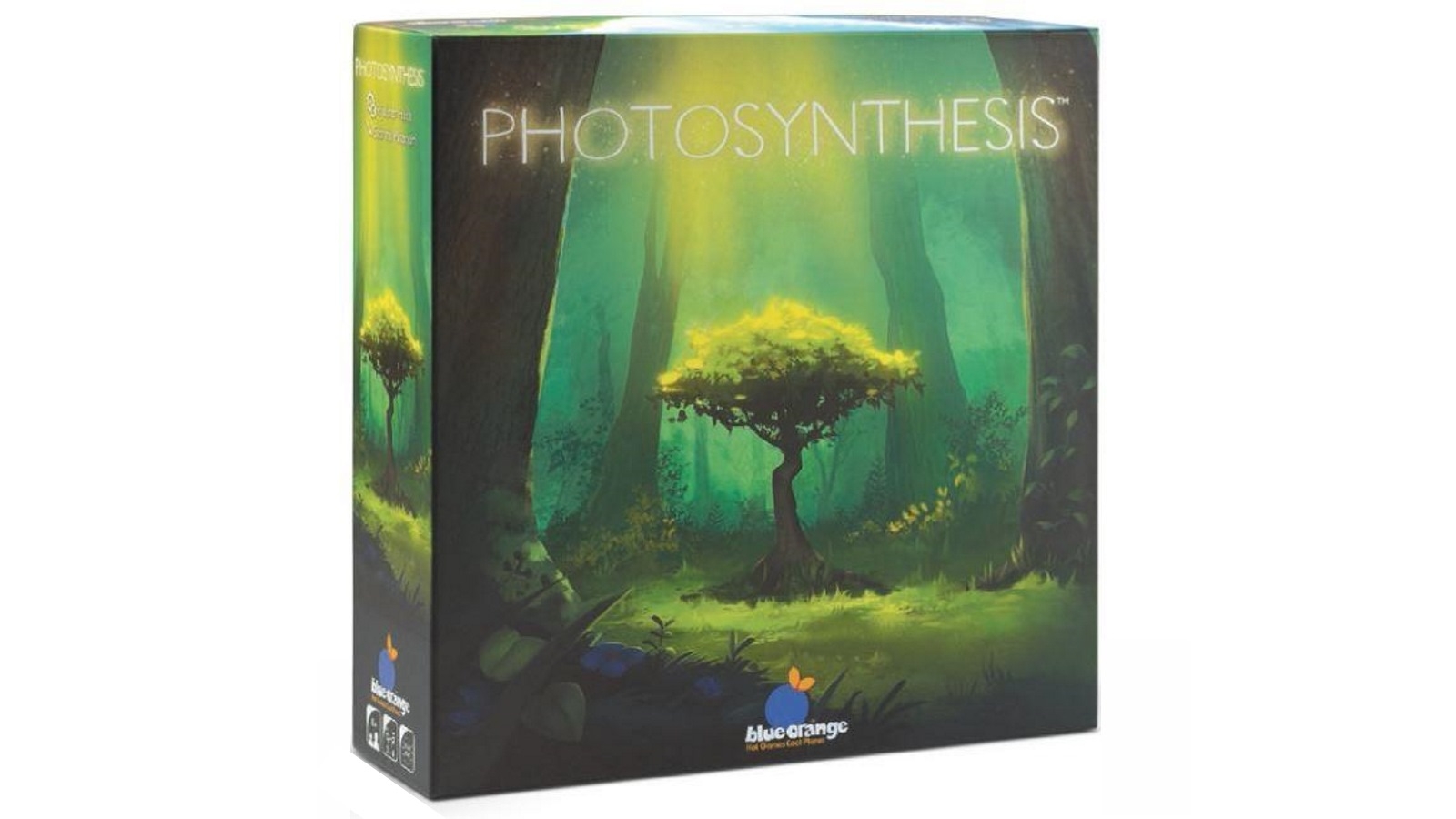 Photosynthesis