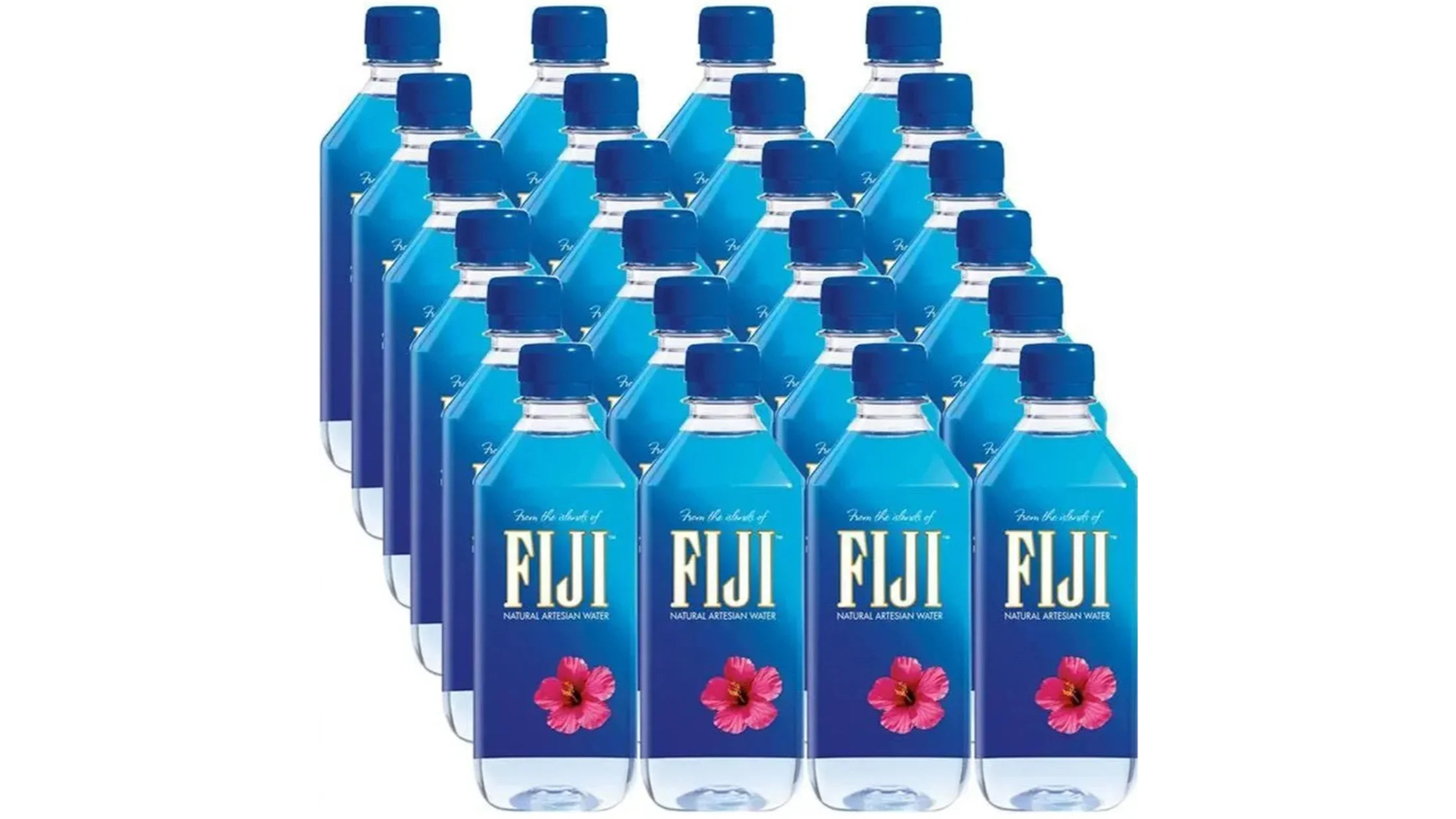 Fiji Pack of 24 Natural Artesian Water Bottle - 500ml