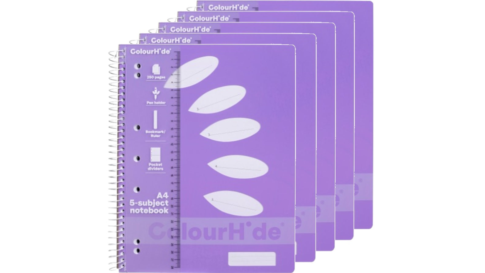 ColourHide 250 Pages A4 5-Subject Section Notebook - Purple