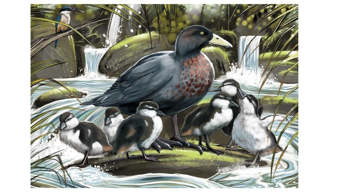 Holdson 300 Piece Treasures Aote Ducks Puzzle - X-Large