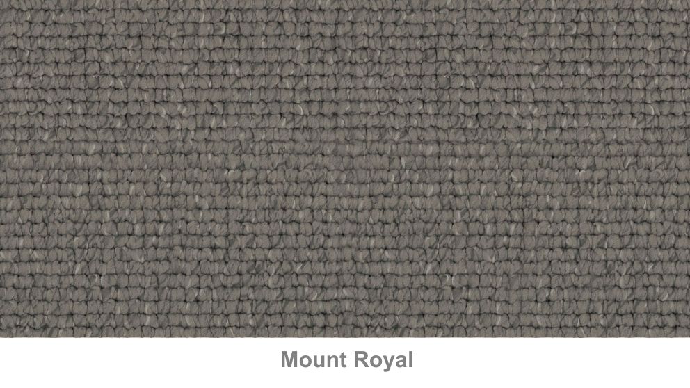 Stain Defence Lifestyle Montreal Carpet Harvey Norman