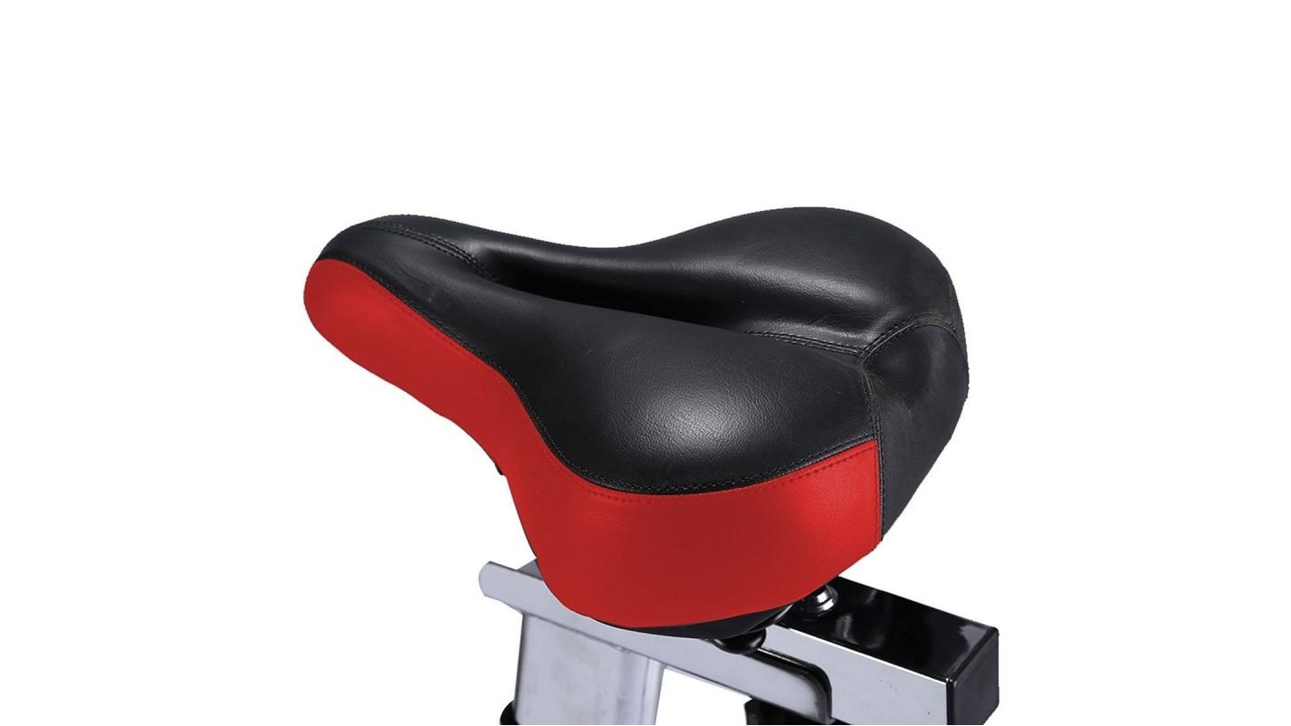 Powertrain RX 200 Exercise Bike Red Harvey Norman