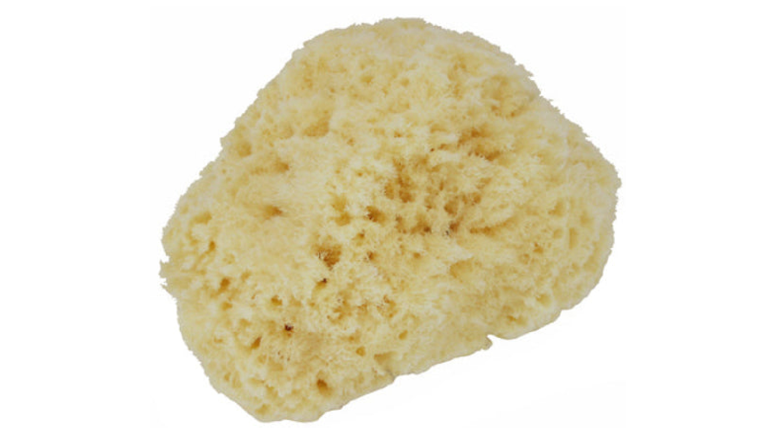 Manicare Body Sponge