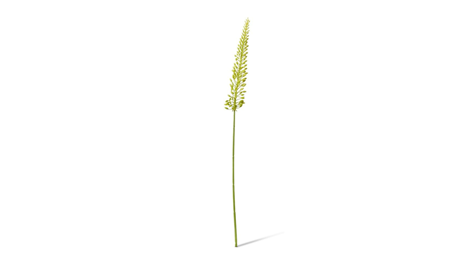 Elme Living Green Foxtail Lily Mini Artificial Stem - 75cm