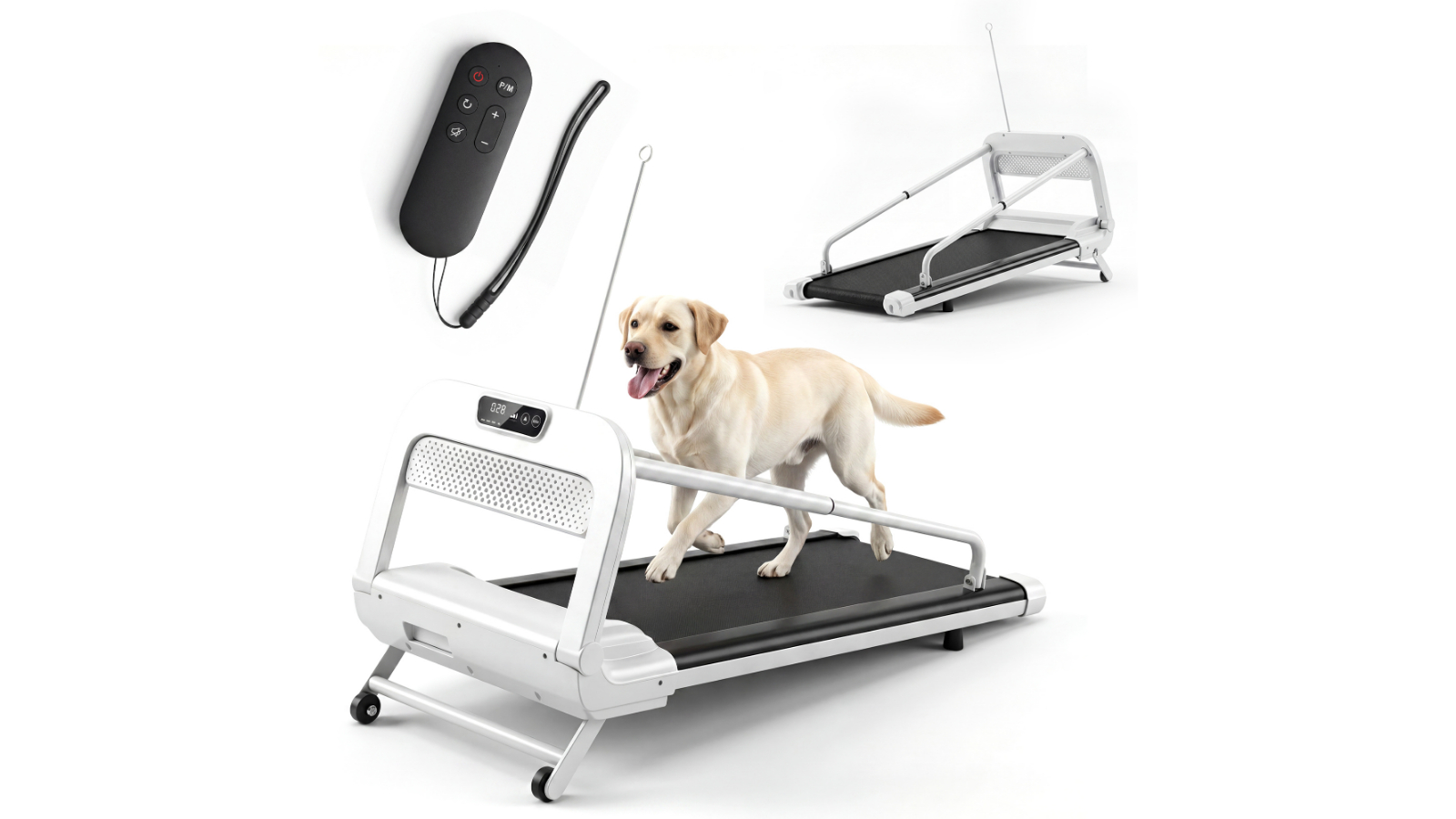 Advwin Dog Running Machine with Adjustable Speed and Incline