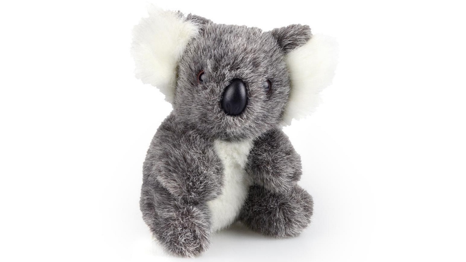 Korimco Koala Am Ab11 Kids 15cm Soft Toy