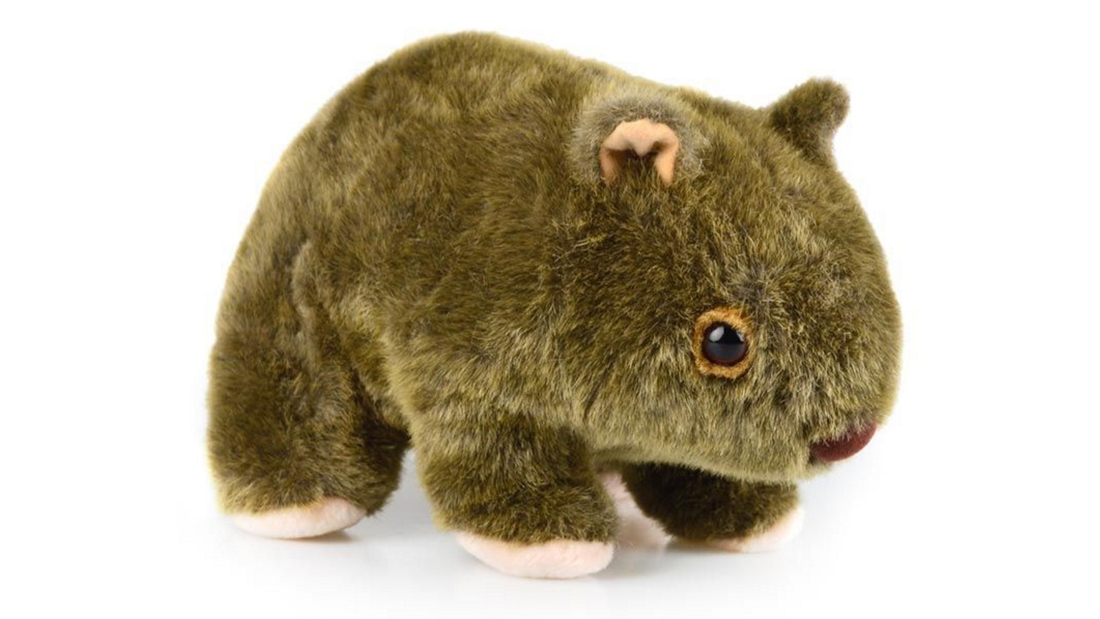 Korimco 17cm Wombat Am Ab61 Kids Soft Toy - 3 Years+