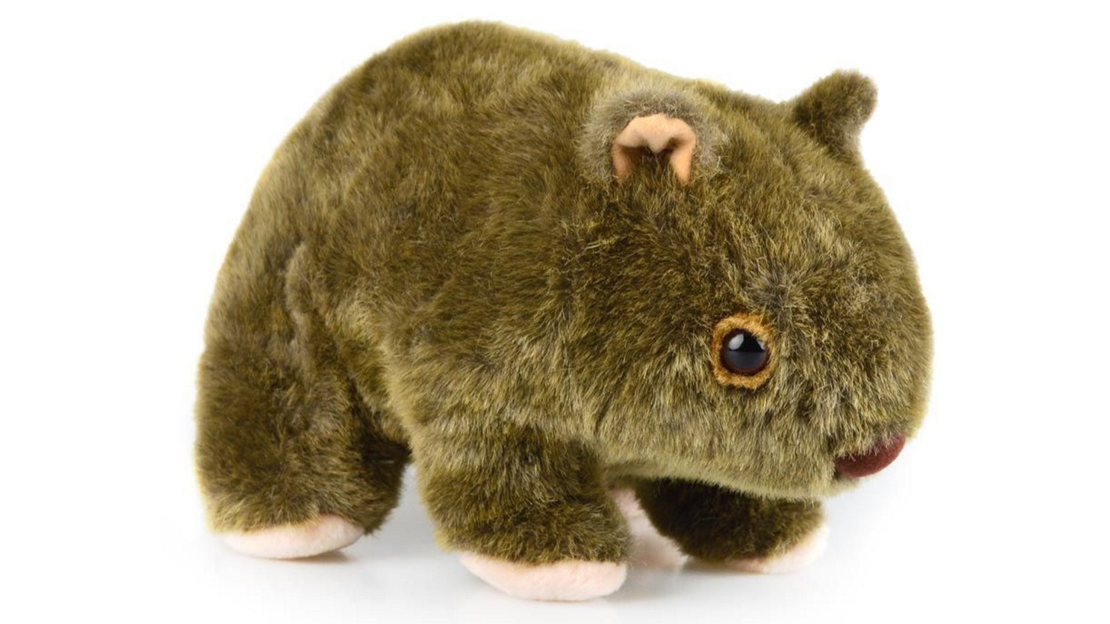 Korimco 25cm Wombat Am Ab64 Kids Soft Toy - 3 Years+