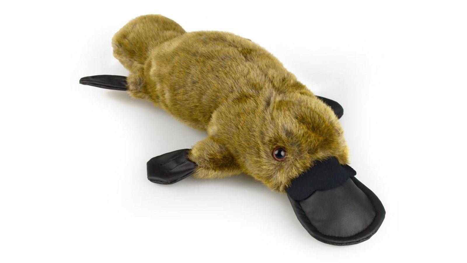 Korimco 31cm Platypus Am Ab72 Kids Soft Toy - 3 Years+