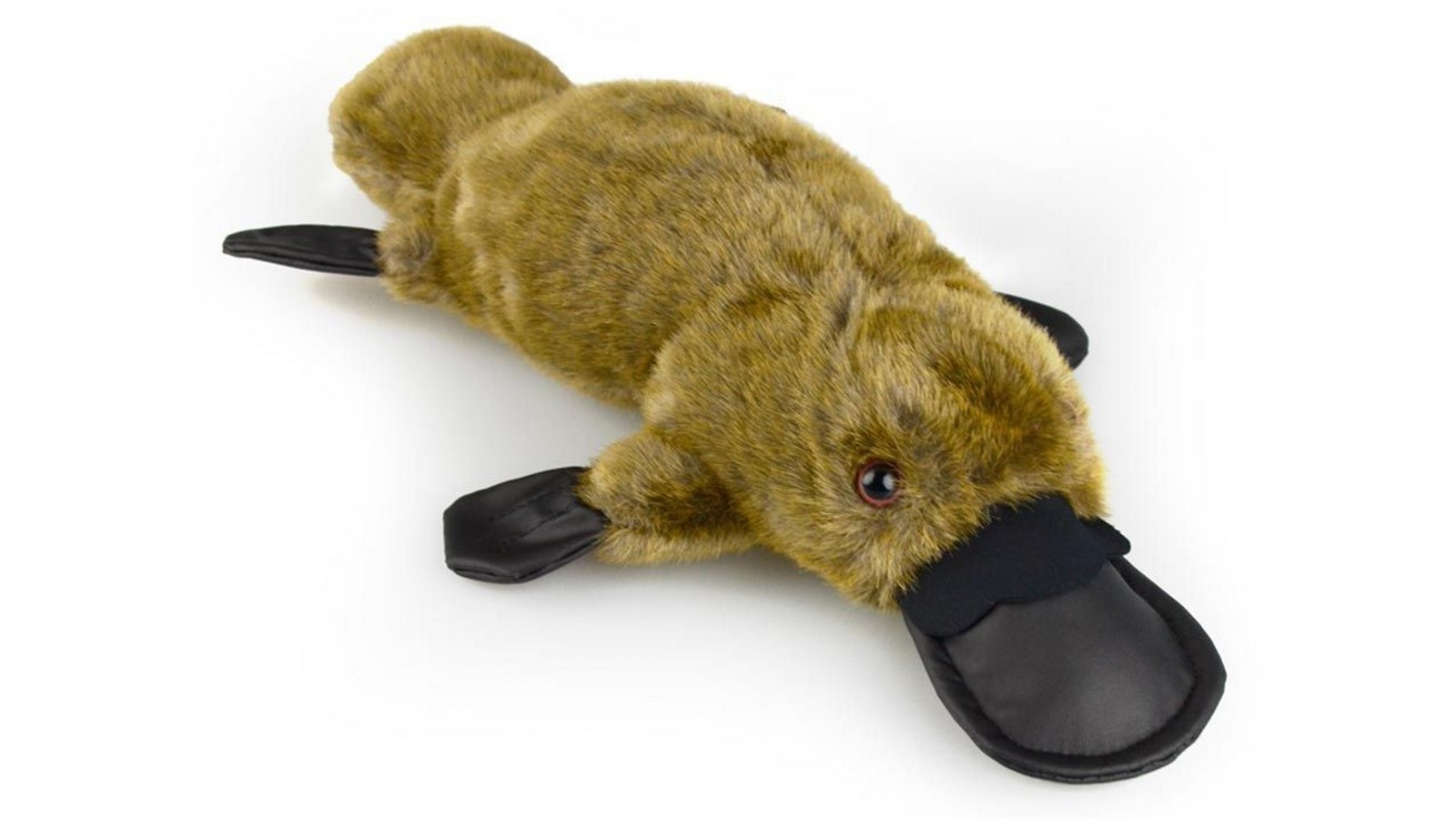 Korimco 37cm Platypus Am Ab73 Kids Soft Toy - 3 Years+