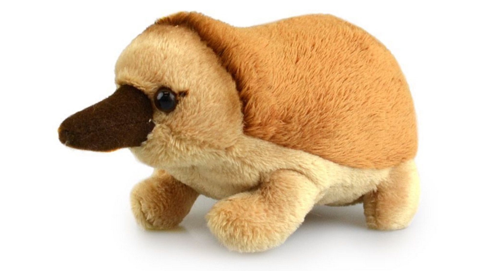 Lil Friends 15cm Echidna Kids Soft Toy - 3 Years+