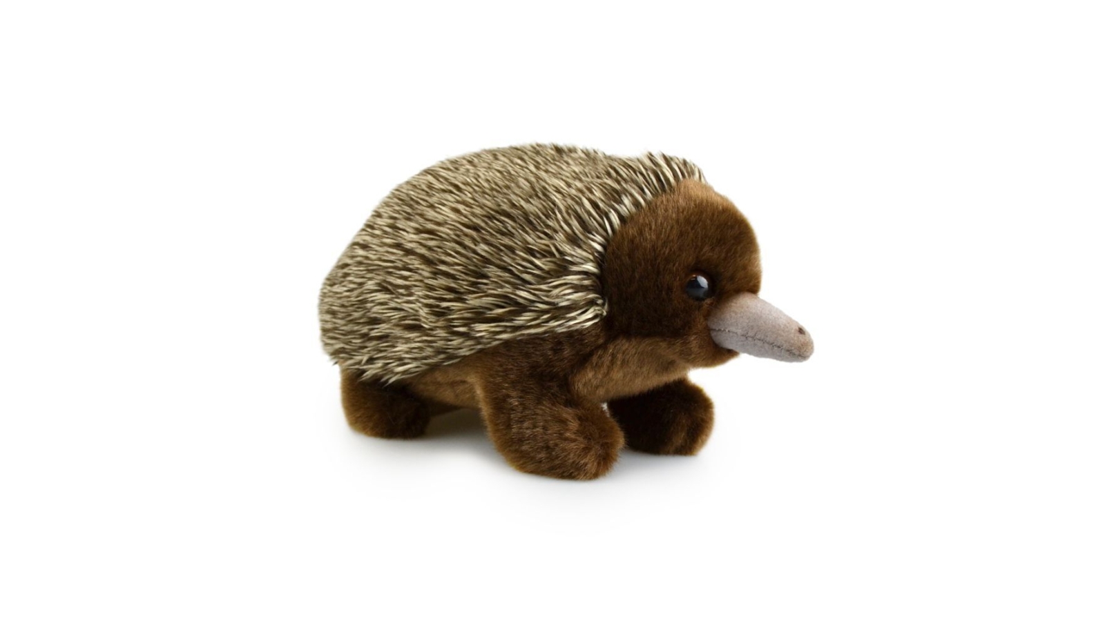 Echidna (Lil Friends) Kids Soft Toy 3y+ - 18cm | Harvey Norman