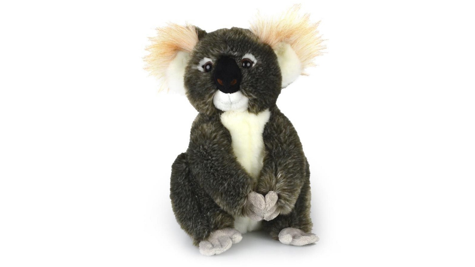 Korimco 30cm Koala Kimba Kids Soft Toy - 3 Years+
