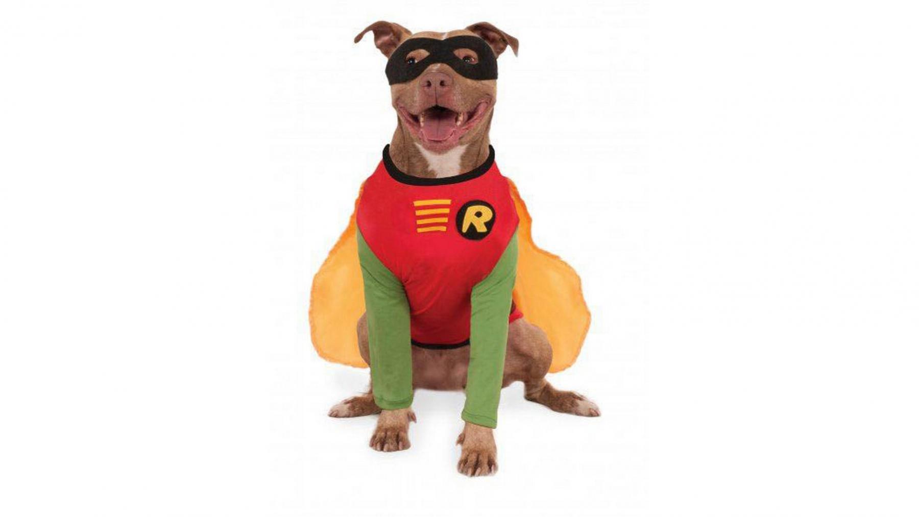 Robin Dog Robin Big Dog Pet Costume | Harvey Norman