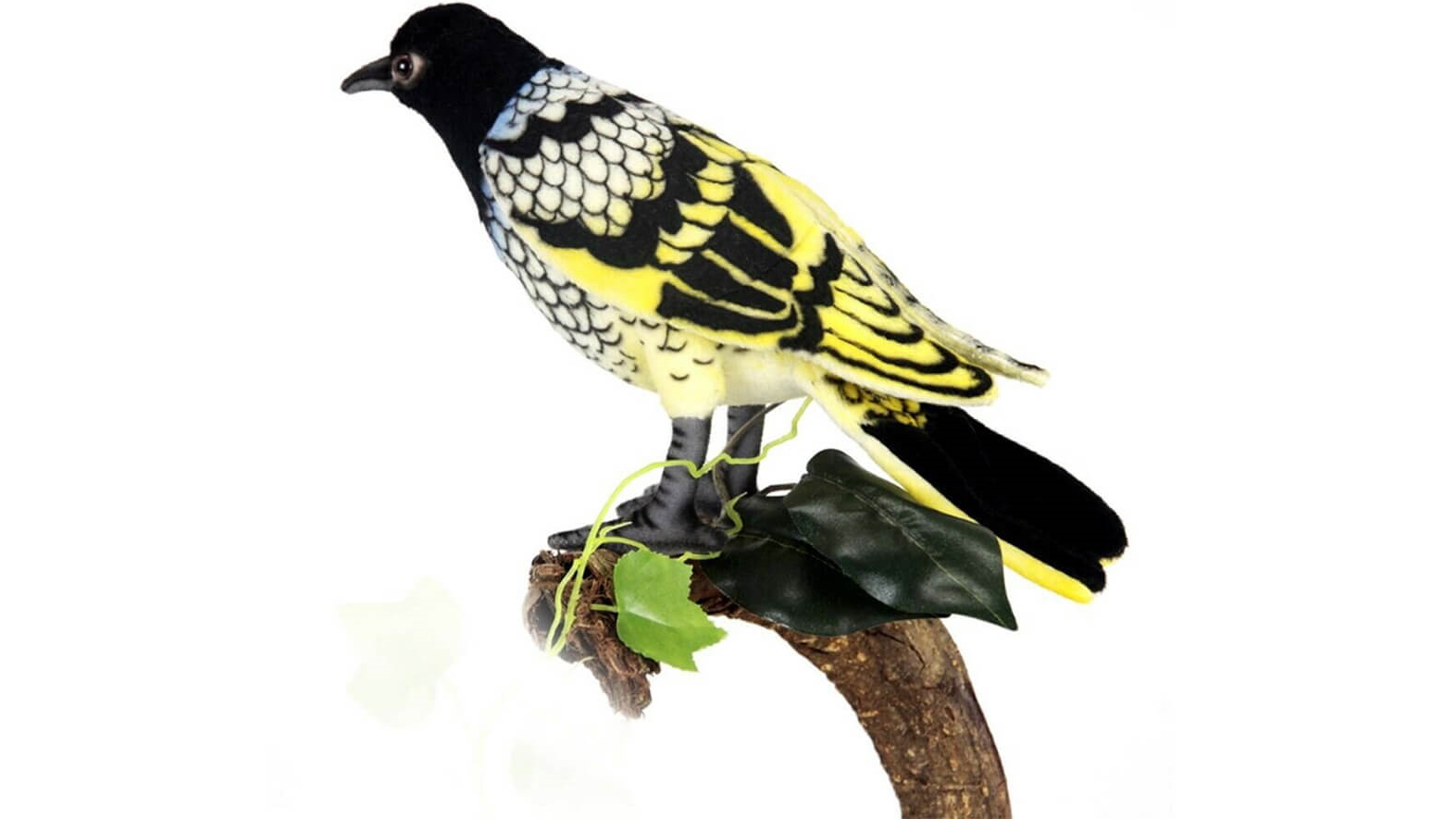 Hansa 25cm Regent Honeyeater