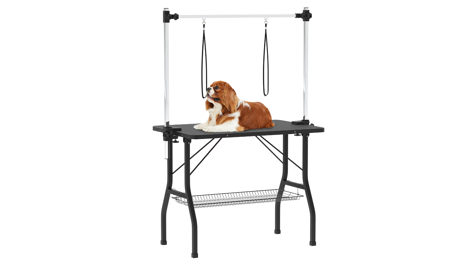 Advwin Pet Grooming Table - Black/White
