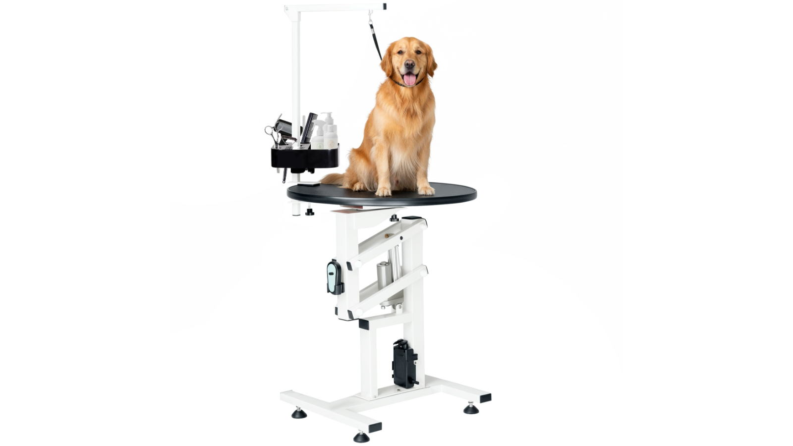 Advwin Electric Pet Grooming Table