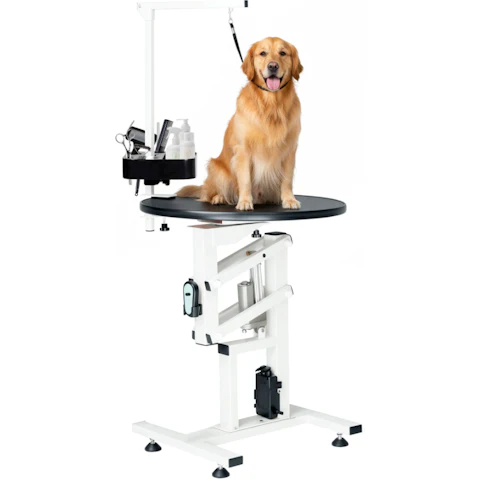 Advwin Electric Pet Grooming Table