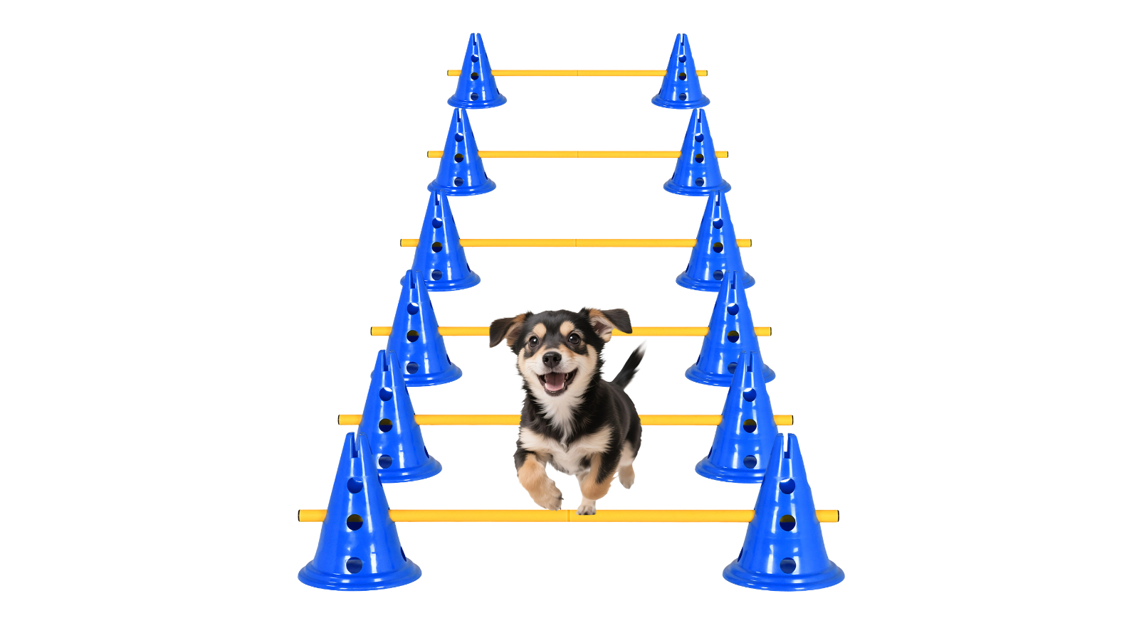 Advwin Dog Agility Hurdle Set