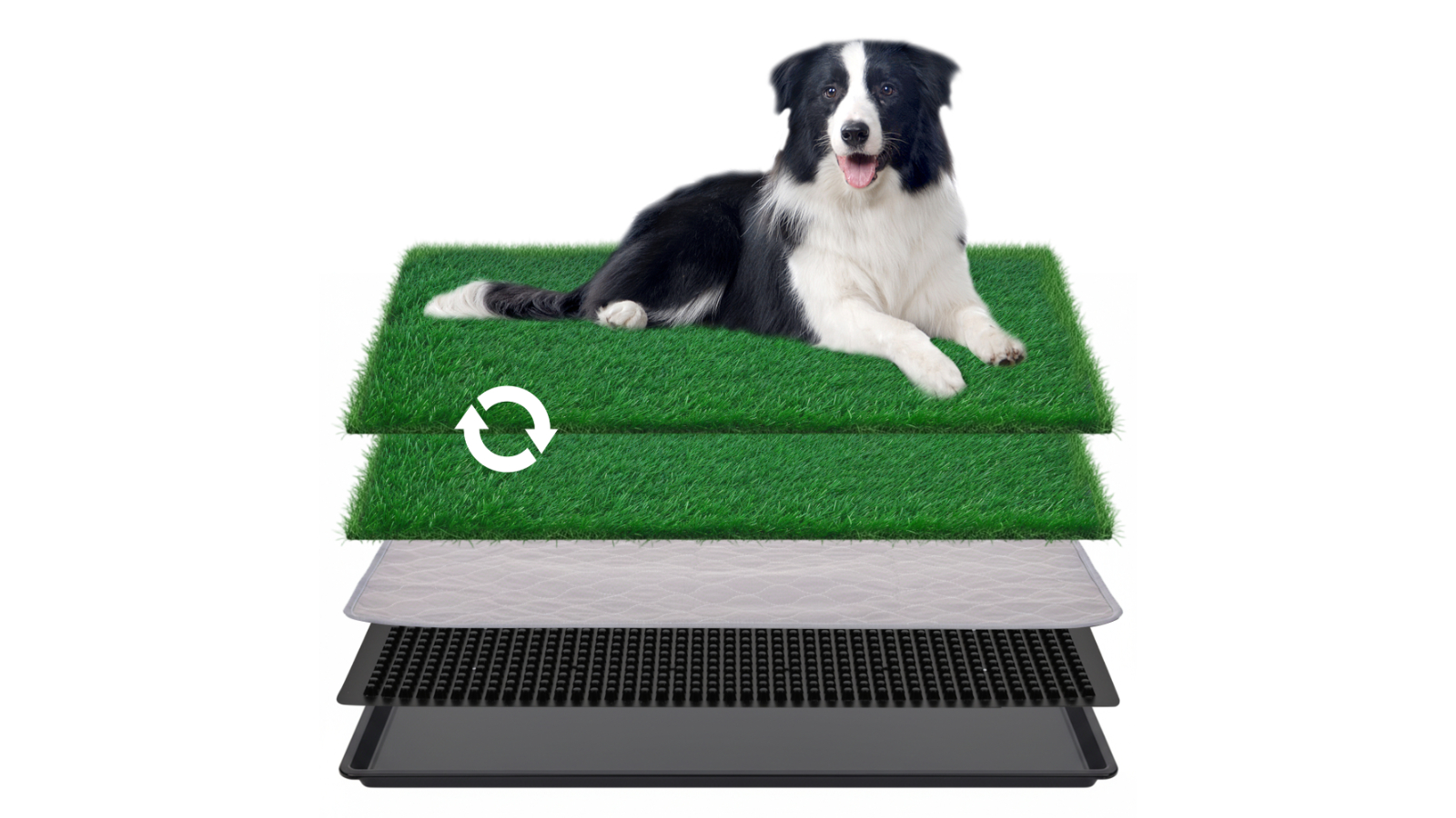 Advwin Large Portable Pet Potty Training