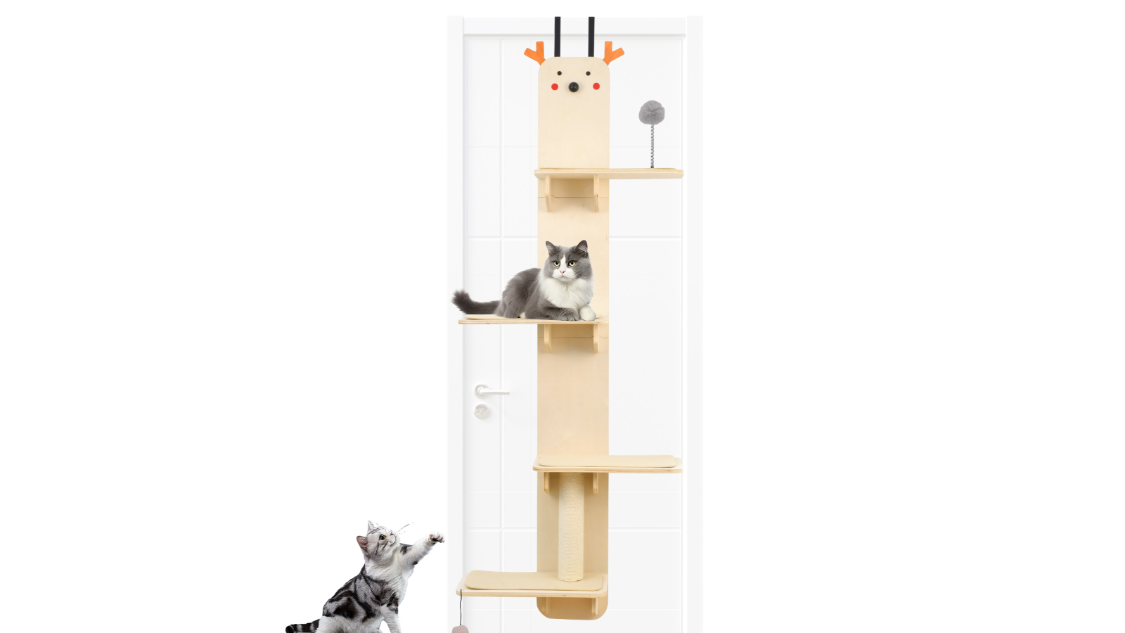 Advwin Cat Door Mounted Multi-Level Wooden Shelves and Ladder