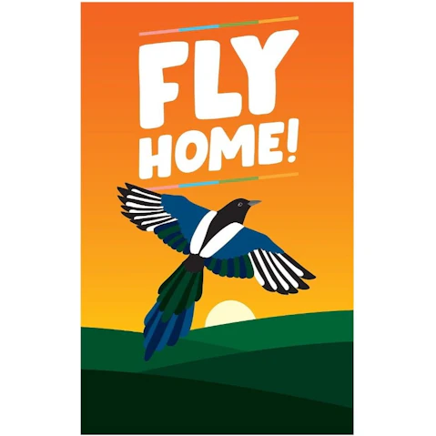 HELVETIQ Fly Home Board Game