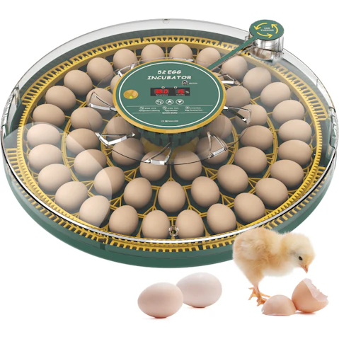Advwin 52 Egg Automatic Digital Egg Hatcher Incubator