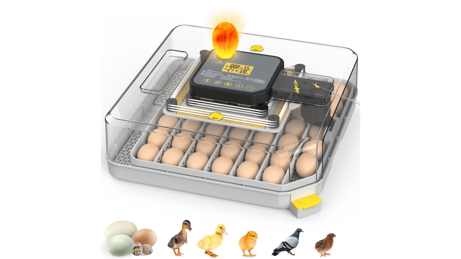 Advwin 48 Egg  Automatic Incubator with Candler 