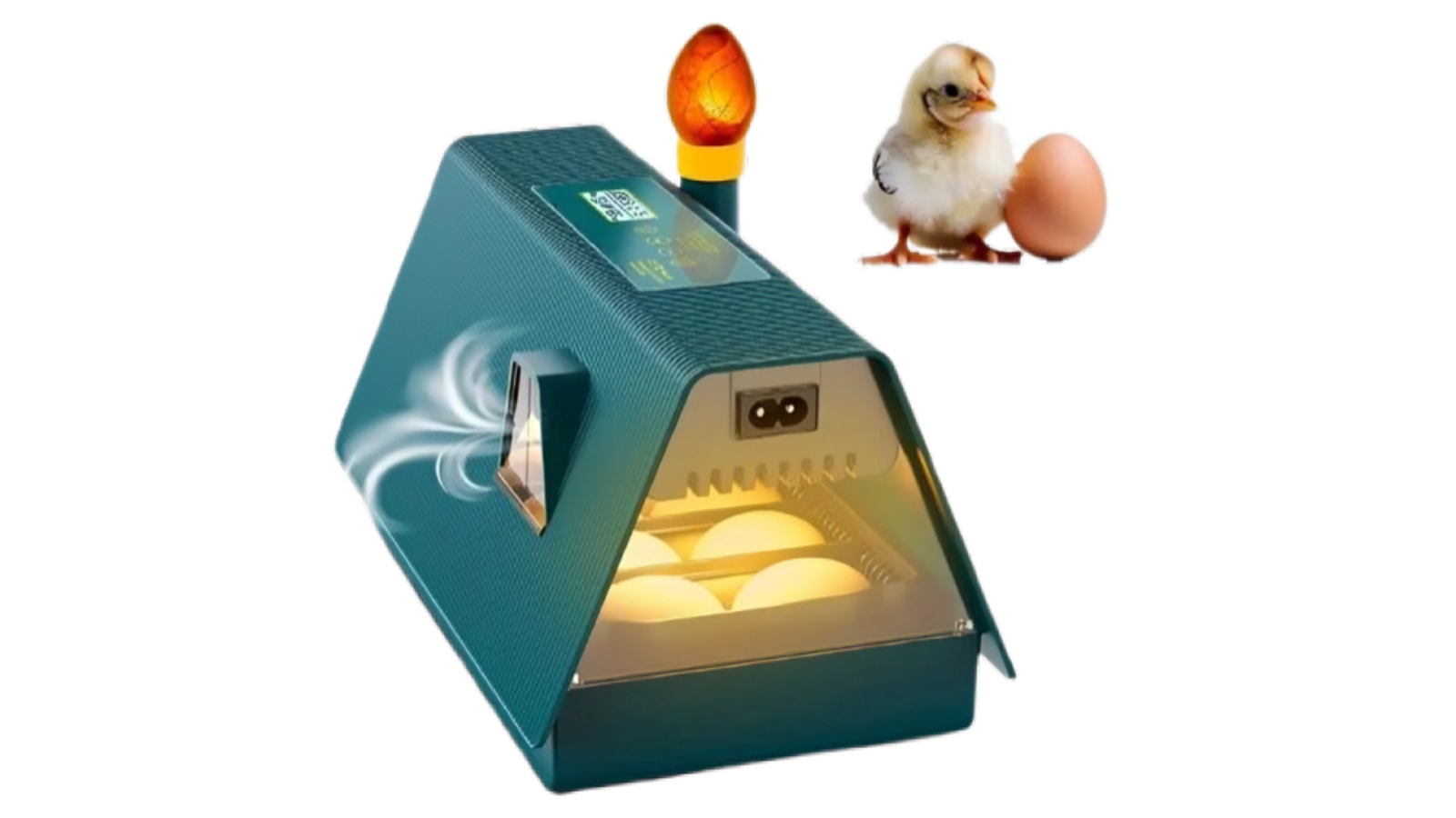 Advwin 10 Egg Automatic Incubator with Candler