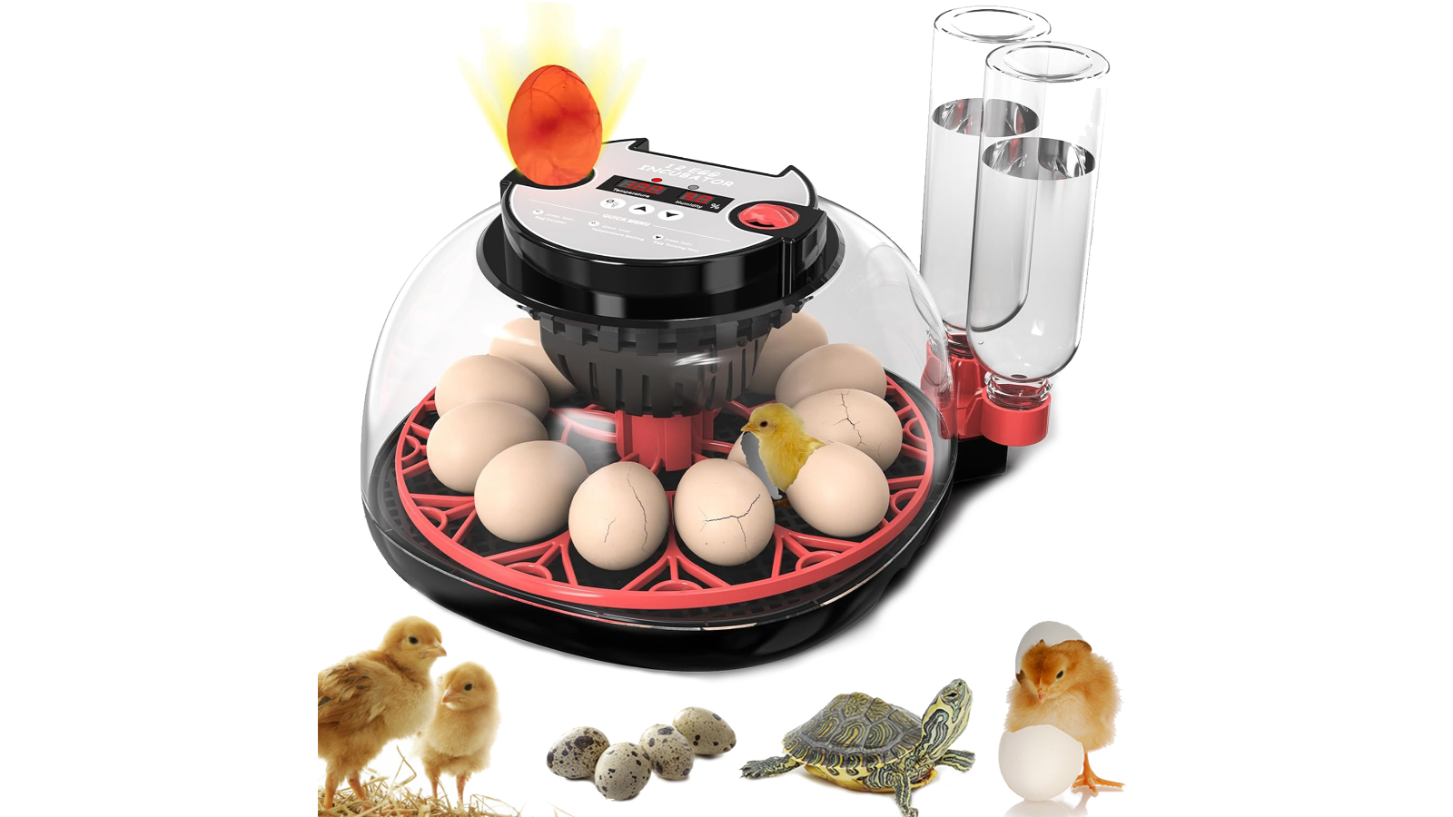Advwin 12 Egg Automatic Incubator with Candler