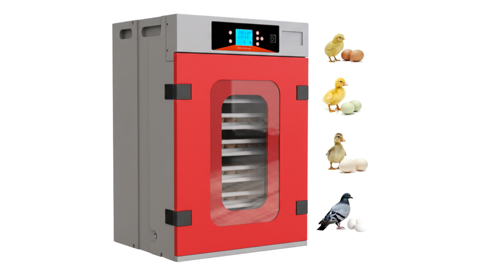Advwin 400 Eggs Automatic Incubator for Hatching