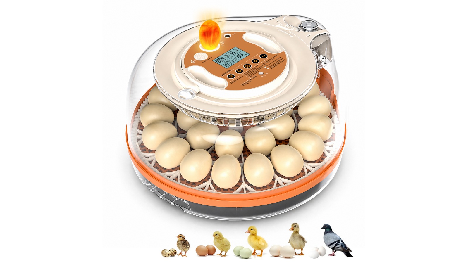 Advwin 26 Egg Automatic Incubator with Smart Voice Control