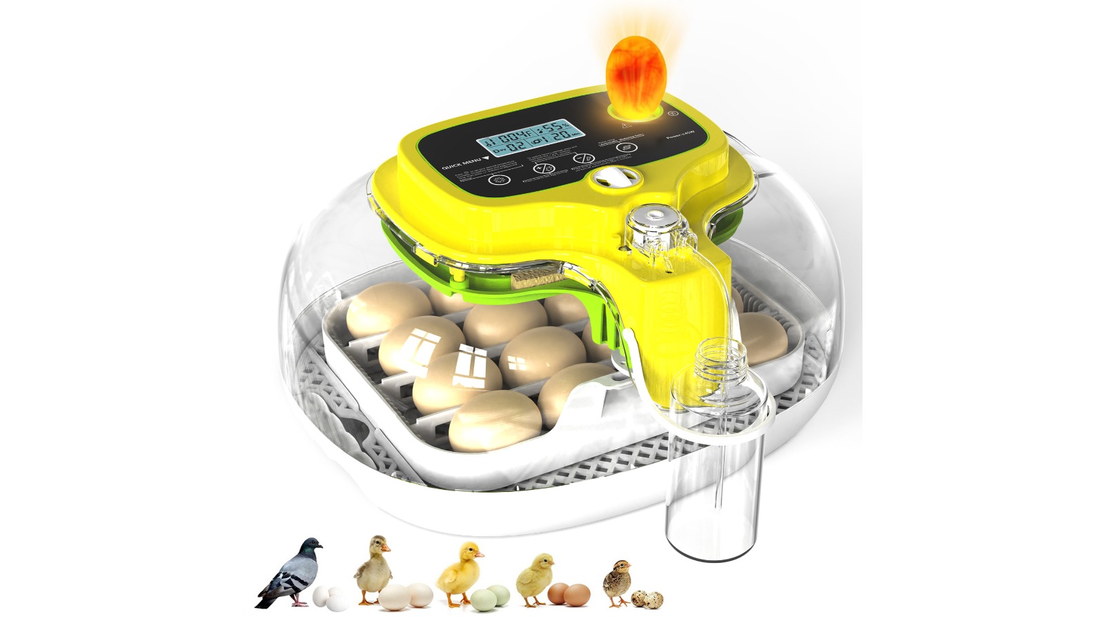 Advwin 16 Egg Digital Incubator with Temperature Humidity Control
