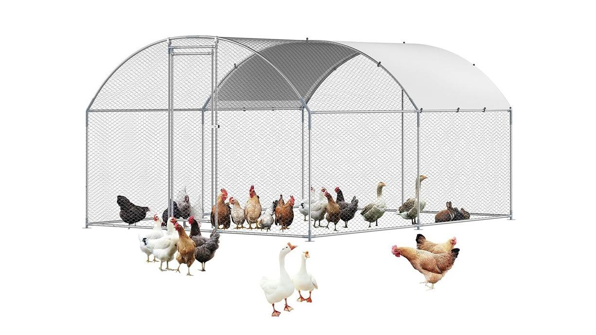 Advwin Large Walk-in Chicken Coop -  296 x 299 x 181cm