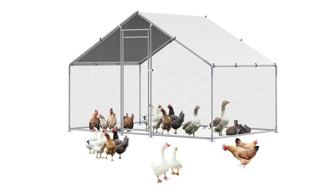 Advwin Walk-in Chicken Coop