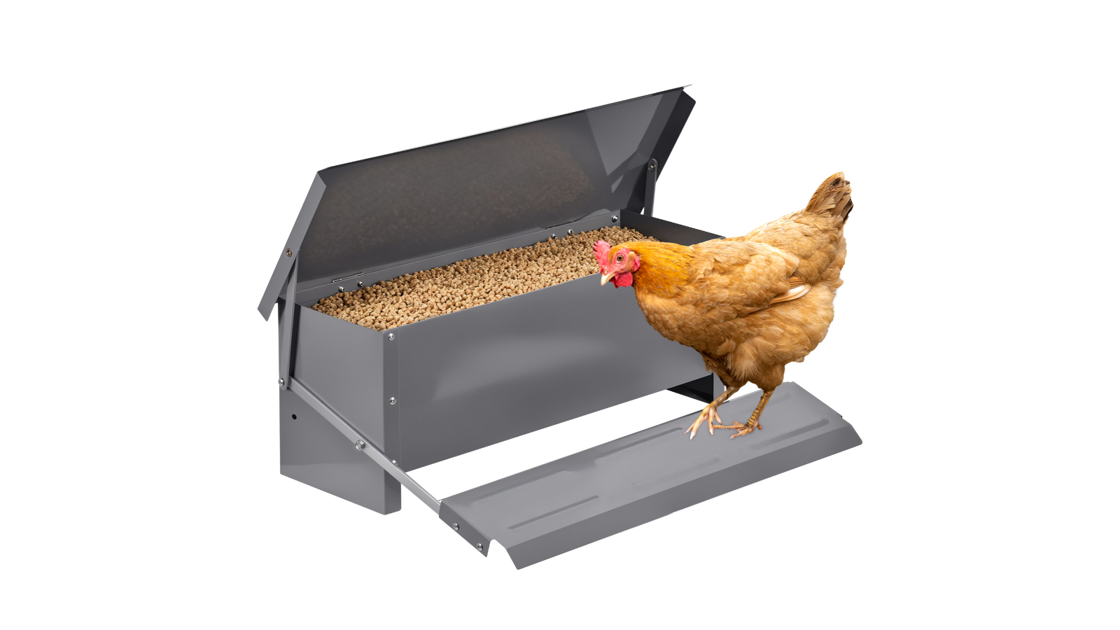 Advwin Automatic Chicken Food Feeder Treadle Self Opening Feed - Galvanized Metal