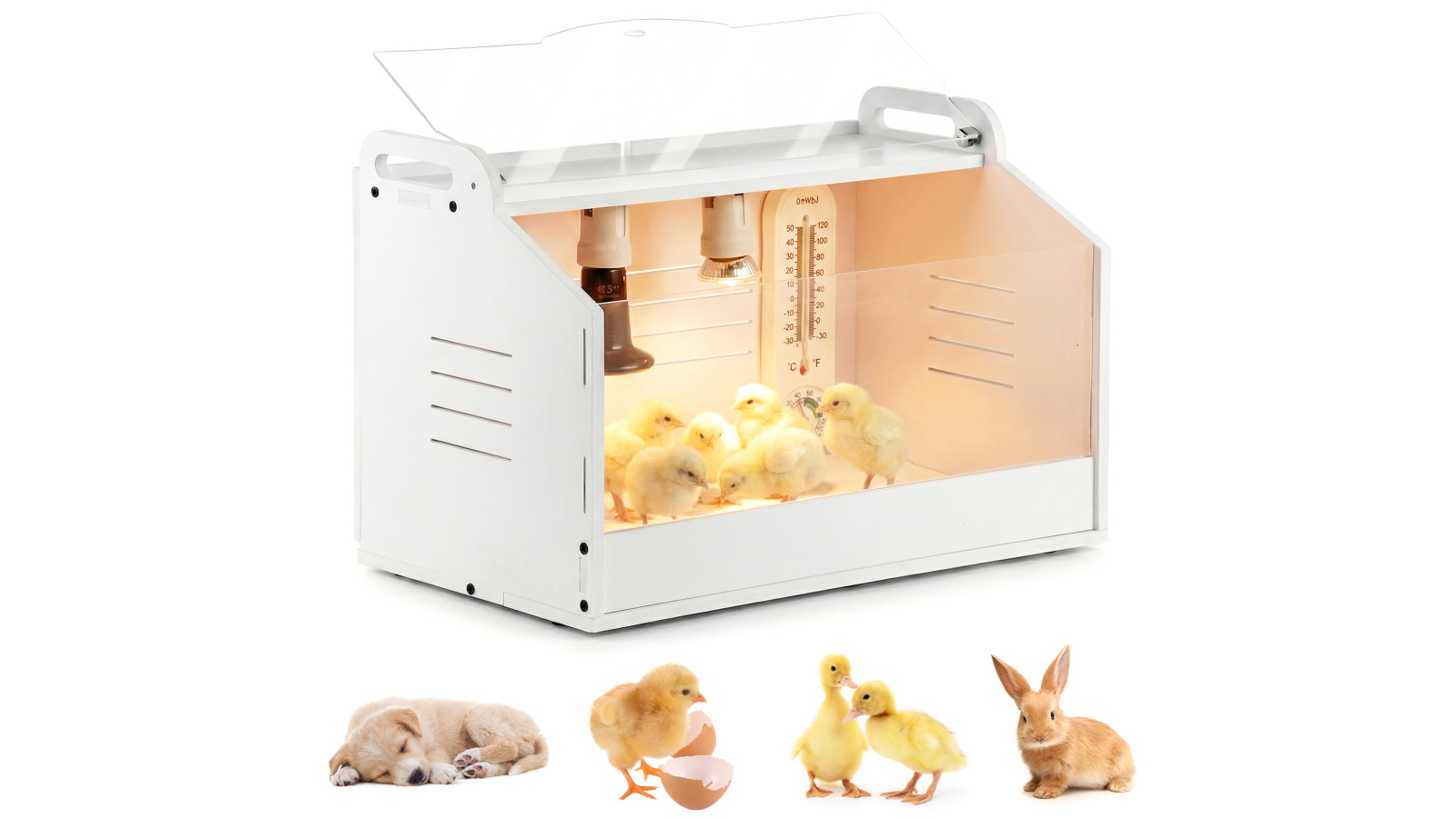 Advwin Chick Brooder Box with Water Feeder and Heating Lamp Poultry Box