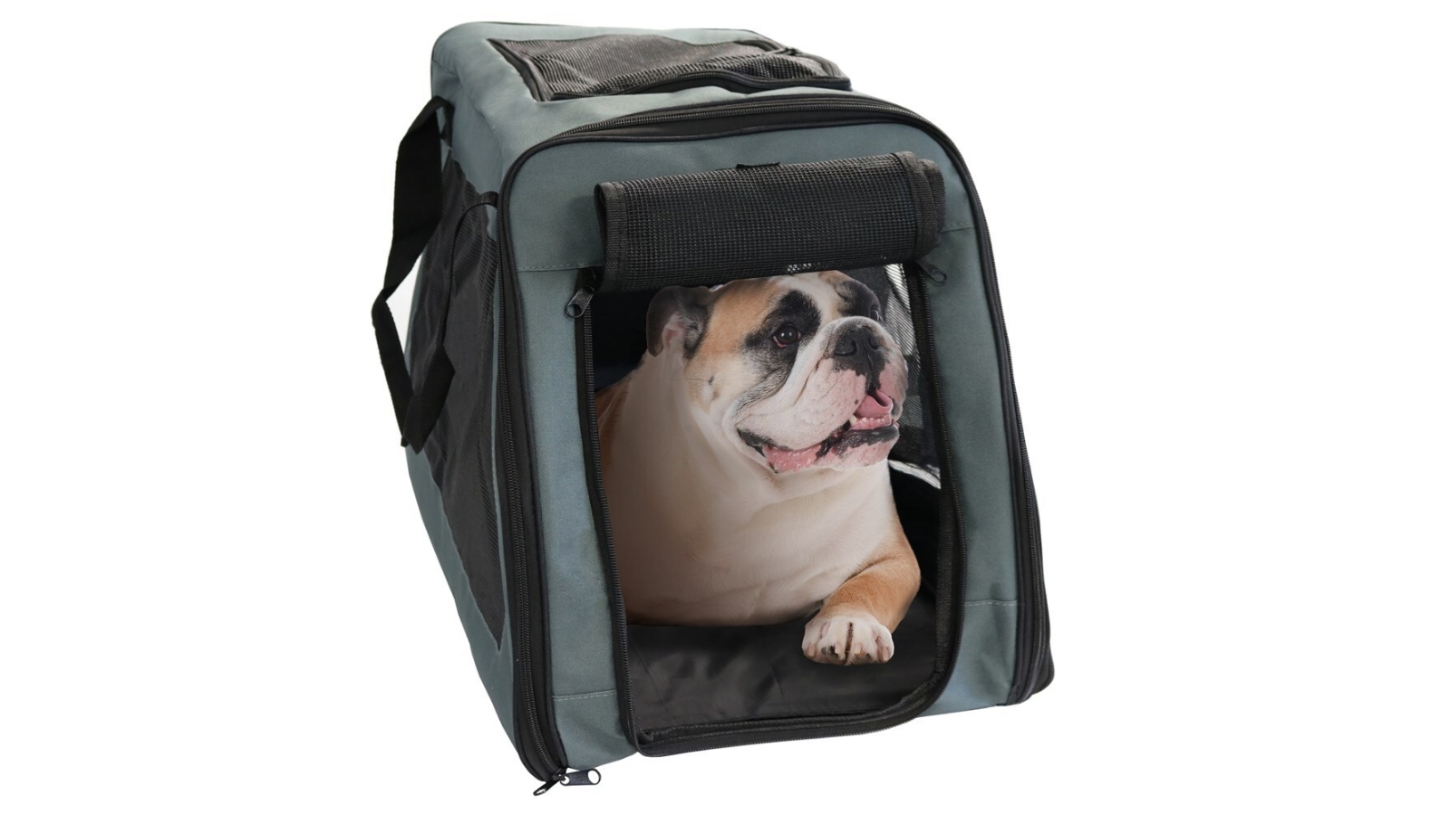 Paws and Claws Pet Car Seat Carrier